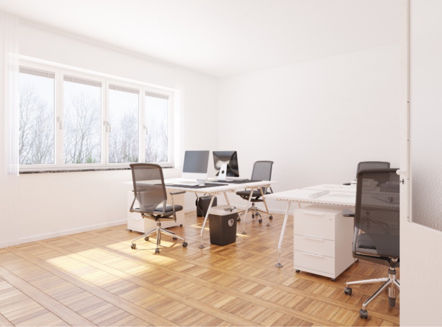 Small business IT support Auckland office setup